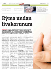 Síða 8