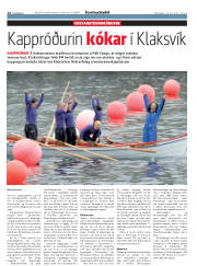 Síða 14