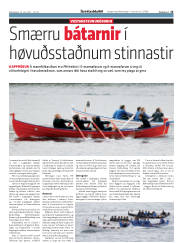Síða 15