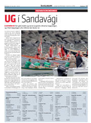 Síða 17