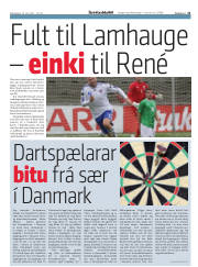 Síða 21