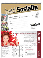 Síða 26