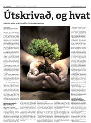 Síða 30