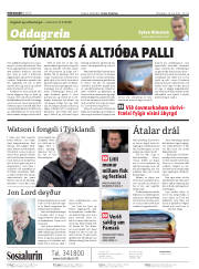 Síða 2