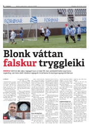 Síða 8