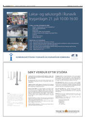 Síða 8