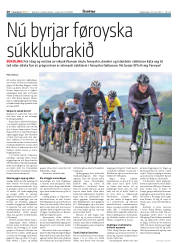 Síða 20