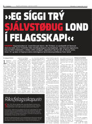 Síða 8