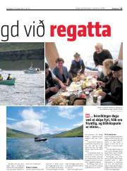 Síða 11