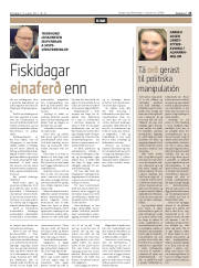 Síða 25