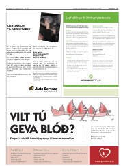 Síða 17