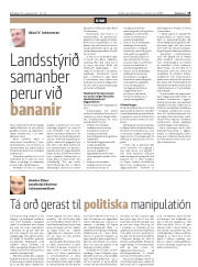 Síða 19
