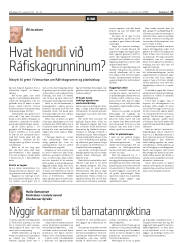 Síða 23