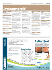 Síða 29