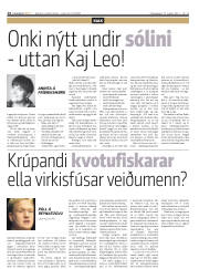 Síða 14