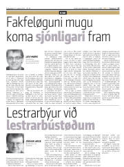 Síða 17