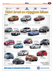 Síða 61