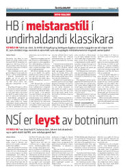 Síða 17