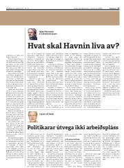 Síða 17