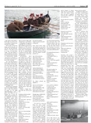 Síða 23