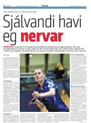 Síða 28