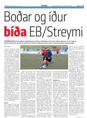 Síða 31