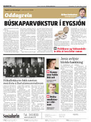 Síða 2