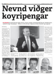 Síða 8