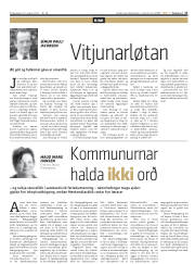 Síða 17