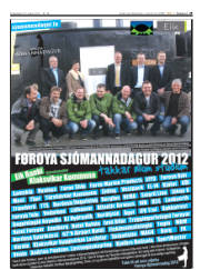 Síða 29