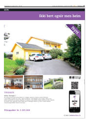 Síða 31