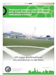 Síða 35