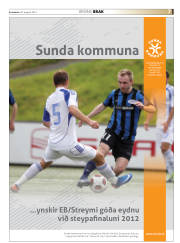 Síða 39
