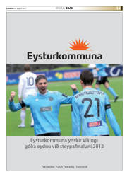 Síða 45