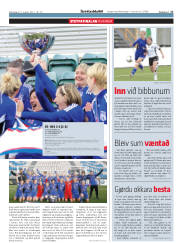 Síða 17