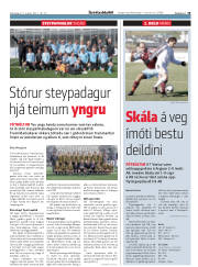 Síða 19