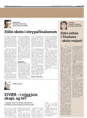 Síða 25
