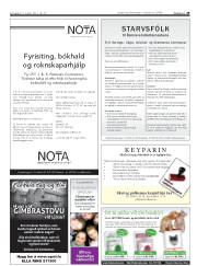 Síða 29