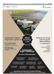 Síða 3