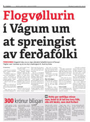 Síða 6