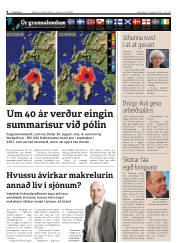 Síða 8