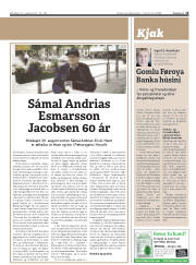 Síða 15