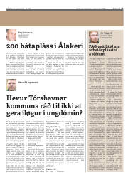 Síða 17
