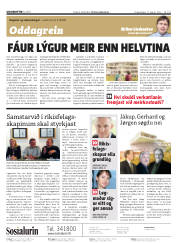 Síða 2