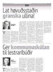 Síða 17