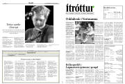 Síða 17