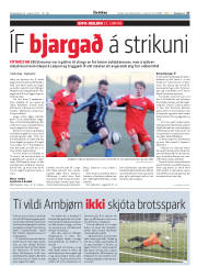 Síða 27