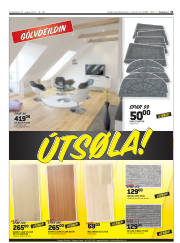 Síða 31