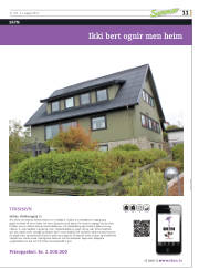 Síða 43