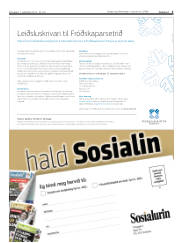 Síða 3